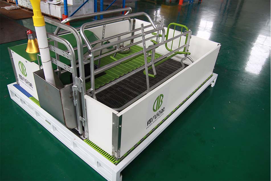 Introducing European Style Farrowing Crate: Enhancing Animal Welfare and Efficiency