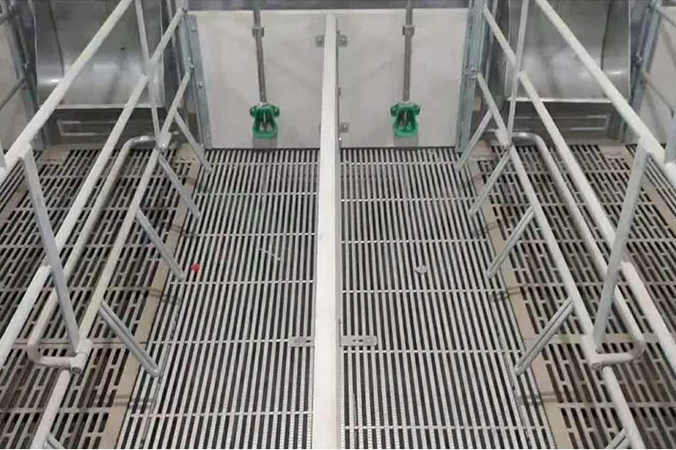 Enhancing Pig Farming Efficiency with the Tri-Bar Floor