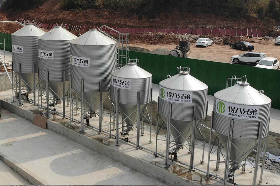 Pig Farm Feed Silo: Key Equipment for Optimizing Feed Storage and Management in Pig Farms