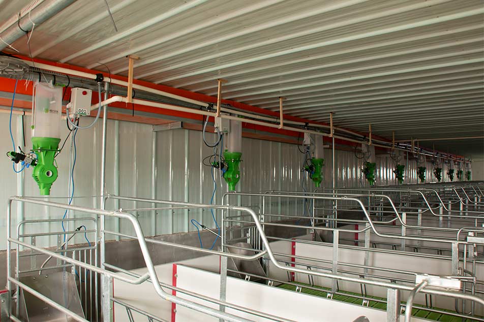  Feeding System Dispenser: Addressing Pig Farm Feeding Needs