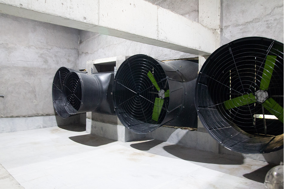 Advanced EC Fans - Elevate Livestock Ventilation | Deba Brothers