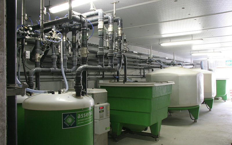 Pig Farm Liquid Feeding System